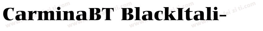 CarminaBT BlackItali字体转换